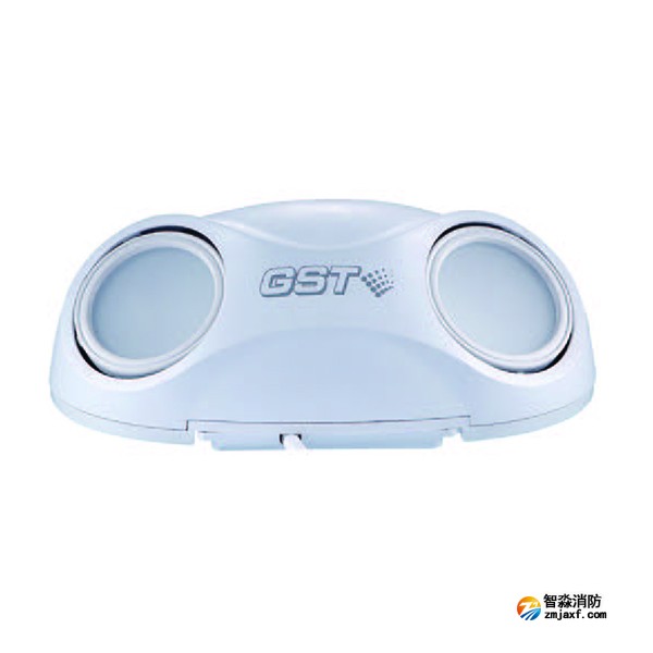 重庆海湾HW-ZFJC-E3W-SN660集中电源集中控制型消防应急照明灯具